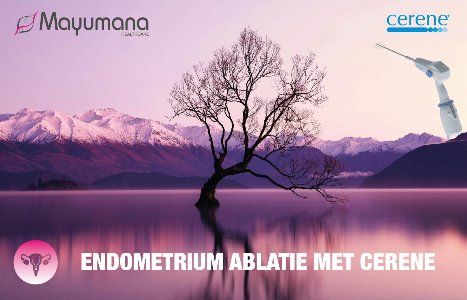 Hevig menstrueel bloedverlies en de rol van Cryoablatie met Cerene ...